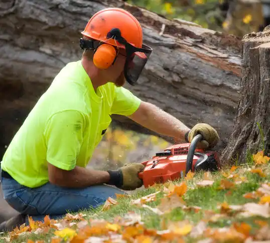 tree services Urbancrest